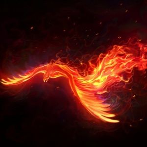 Meet your Posher, Cristal